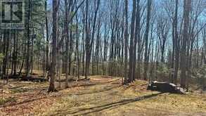 5192 HWY 620 | Coe Hill Ontario | Slide Image Nineteen