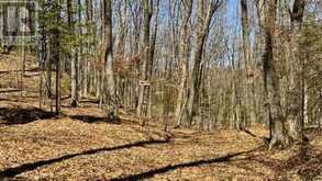 5192 HWY 620 | Coe Hill Ontario | Slide Image Twenty-two