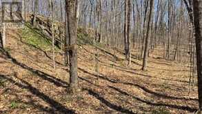 5192 HWY 620 | Coe Hill Ontario | Slide Image Twenty-three