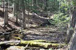 5192 HWY 620 | Coe Hill Ontario | Slide Image Thirty-three