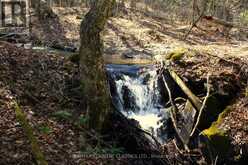 5192 HWY 620 | Coe Hill Ontario | Slide Image Thirty-one