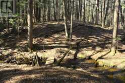 5192 HWY 620 | Coe Hill Ontario | Slide Image Thirty-five