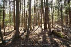 5192 HWY 620 | Coe Hill Ontario | Slide Image Thirty-seven
