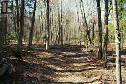 5192 HWY 620 | Coe Hill Ontario | Slide Image Thirty-six