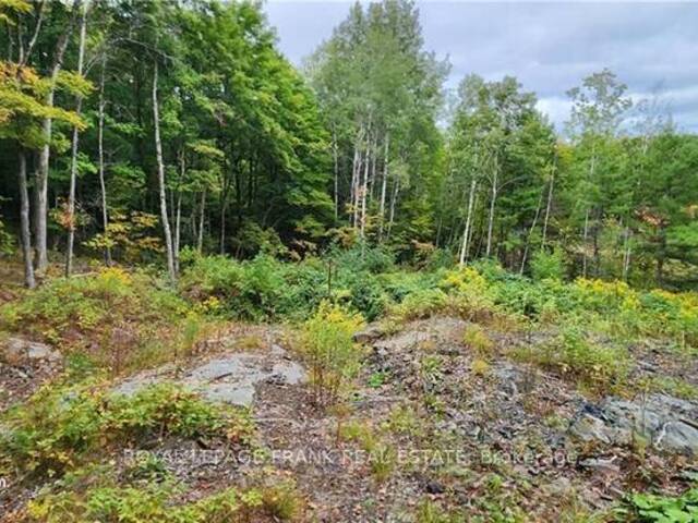 169 NORTHERN AVENUE Bobcaygeon Ontario, K0M 1A0 - Vacant Land For Sale