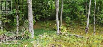 169 NORTHERN AVENUE | Bobcaygeon Ontario | Slide Image Ten
