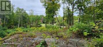 169 NORTHERN AVENUE | Bobcaygeon Ontario | Slide Image Three
