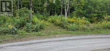 169 NORTHERN AVENUE | Bobcaygeon Ontario | Slide Image Five
