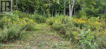 169 NORTHERN AVENUE | Bobcaygeon Ontario | Slide Image Six