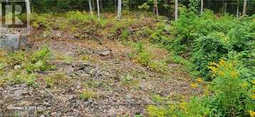 169 NORTHERN AVENUE | Bobcaygeon Ontario | Slide Image Nine