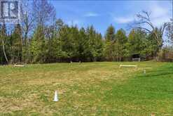 4046 HWY 28 | North Kawartha Ontario | Slide Image Twenty-three