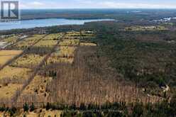 4046 HWY 28 | North Kawartha Ontario | Slide Image Four
