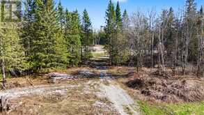 6369 HIGHWAY 35 | Coboconk Ontario | Slide Image Four