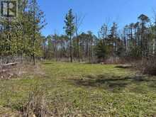 6192 COUNTY RD 50 | Campbellford Ontario | Slide Image Two