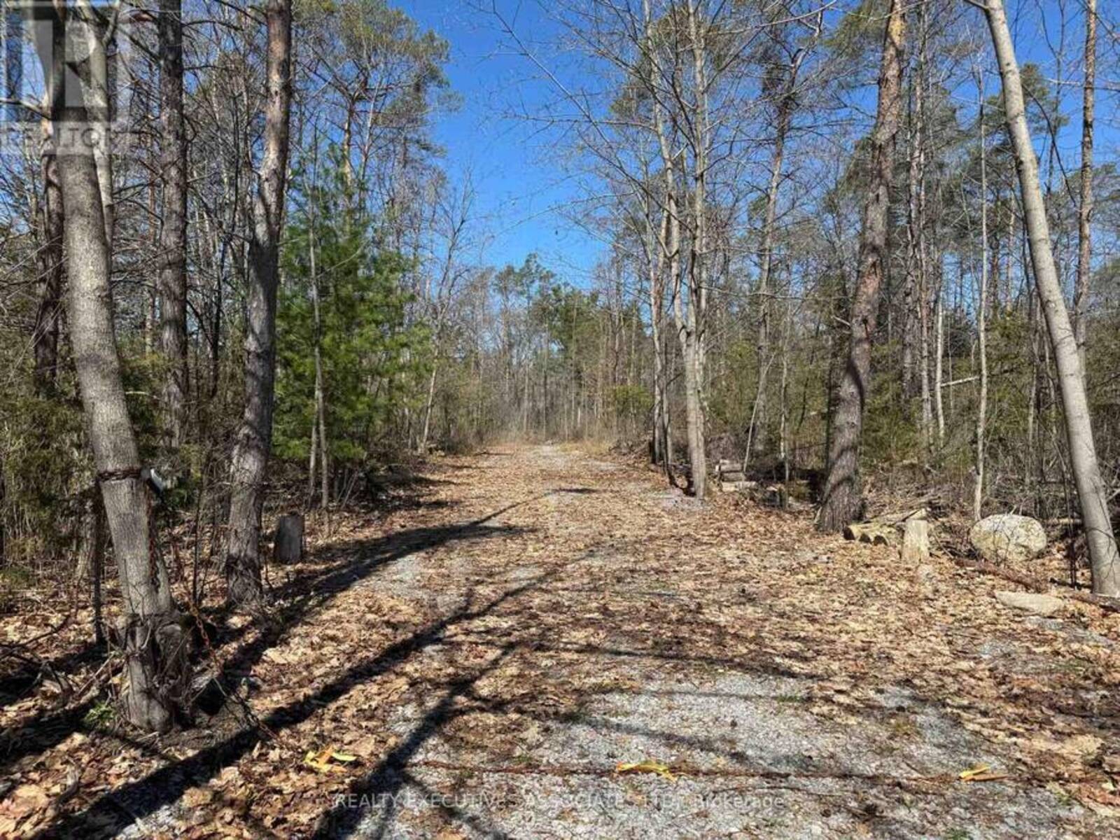 6192 COUNTY RD 50, Campbellford, Ontario K0L 1L0