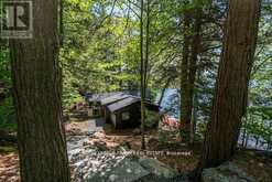 119 FIRE ROUTE 242 | North Kawartha Ontario | Slide Image Thirty