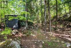 119 FIRE ROUTE 242 | North Kawartha Ontario | Slide Image Thirty-one