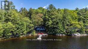 119 FIRE ROUTE 242 | North Kawartha Ontario | Slide Image Thirty-three