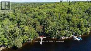 119 FIRE ROUTE 242 | North Kawartha Ontario | Slide Image Thirty-four