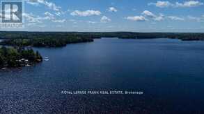 119 FIRE ROUTE 242 | North Kawartha Ontario | Slide Image Thirty-five