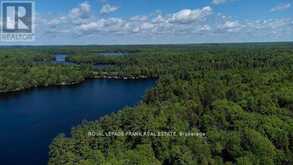 119 FIRE ROUTE 242 | North Kawartha Ontario | Slide Image Thirty-six