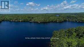 119 FIRE ROUTE 242 | North Kawartha Ontario | Slide Image Thirty-seven
