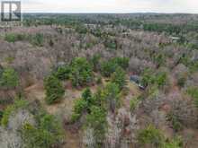 9559 HWY 28 | Apsley Ontario | Slide Image Ten