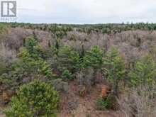 9559 HWY 28 | Apsley Ontario | Slide Image Eleven