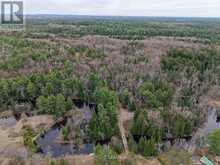 9559 HWY 28 | Apsley Ontario | Slide Image Fifteen
