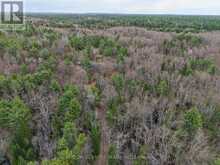 9559 HWY 28 | Apsley Ontario | Slide Image Sixteen