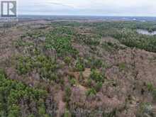 9559 HWY 28 | Apsley Ontario | Slide Image Seventeen