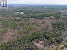9559 HWY 28 | Apsley Ontario | Slide Image Eighteen