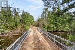 9559 HWY 28 | Apsley Ontario | Slide Image Thirty-five