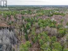 9559 HWY 28 | Apsley Ontario | Slide Image Six
