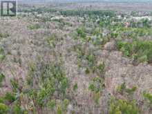 9559 HWY 28 | Apsley Ontario | Slide Image Eight