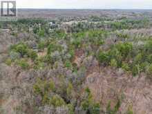 9559 HWY 28 | Apsley Ontario | Slide Image Nine
