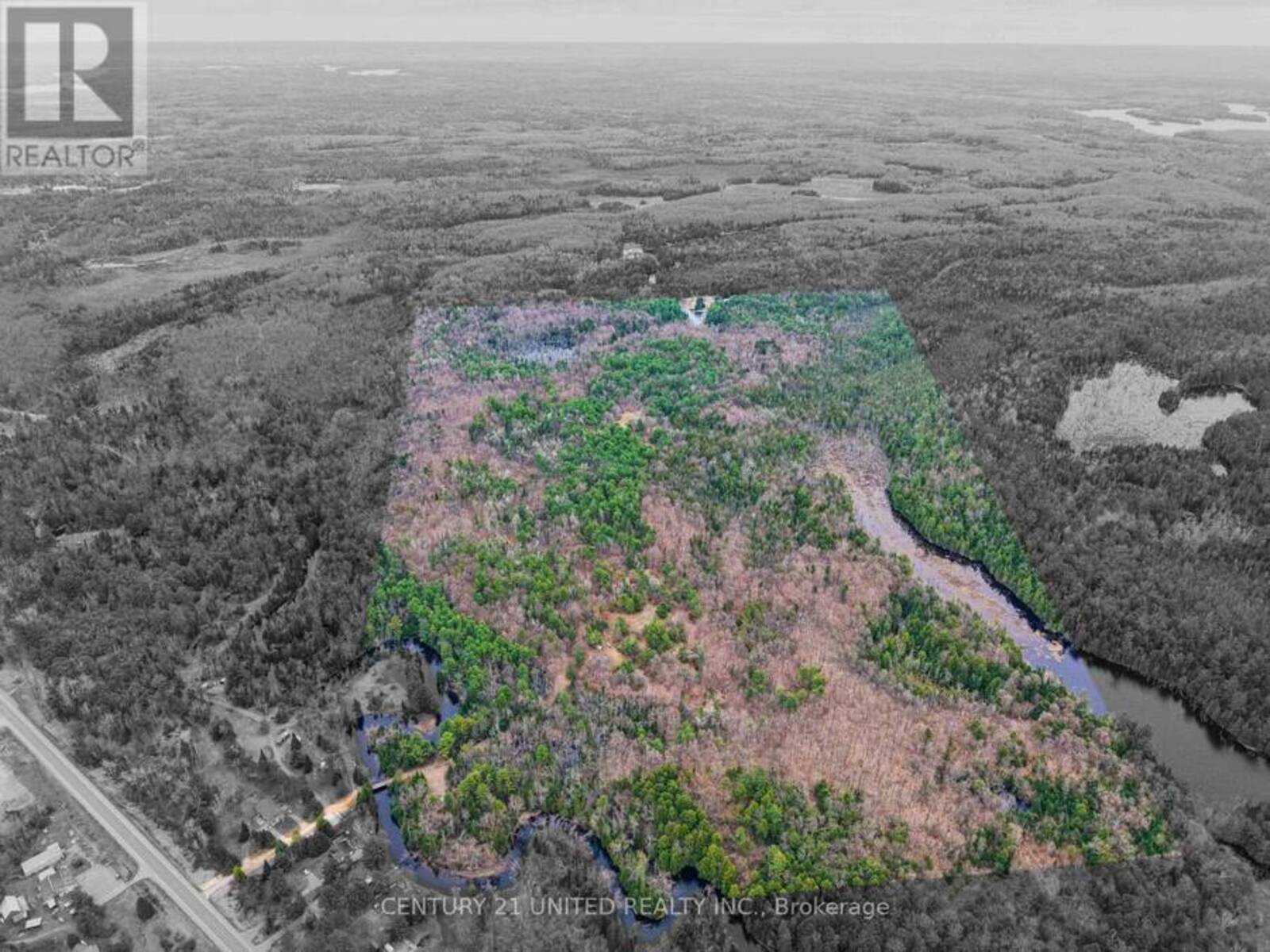 9559 HWY 28, Apsley, Ontario K0L 1A0