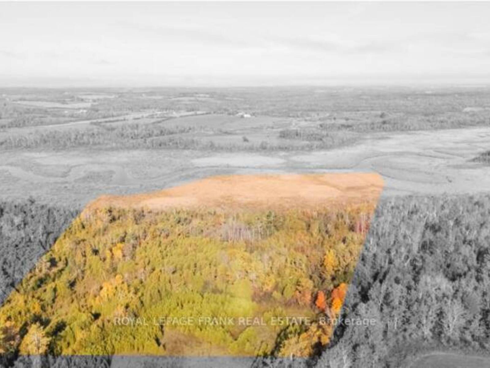 740 MOUNT HOREB ROAD, Kawartha Lakes, Ontario K0L 2X0