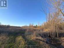 0 REID SETTLEMENT ROAD | Madoc Ontario | Slide Image Two