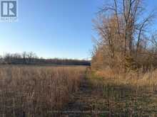 0 REID SETTLEMENT ROAD | Madoc Ontario | Slide Image Seven