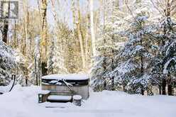 1042 SKI RIDGE TRAIL | Dysart et al Ontario | Slide Image Thirty-five
