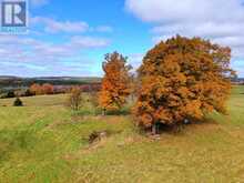 649 DETLOR ROAD | Bancroft Ontario | Slide Image Twenty