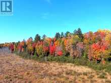 CON EHR PT LOT 25 M-25 LOT 4 | Bancroft Ontario | Slide Image Twelve