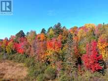 CON EHR PT LOT 25 M-25 LOT 4 | Bancroft Ontario | Slide Image Thirteen