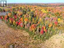 CON EHR PT LOT 25 M-25 LOT 4 | Bancroft Ontario | Slide Image Seven