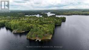 910 WESLEMKOON LAKE | Carlow-Mayo Ontario | Slide Image Four