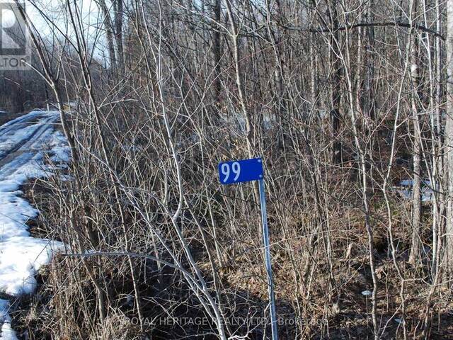 99 FUTURE LANE Marmora Ontario, K0K 2M0 - Waterfront Land For Sale