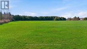 0 NASH ROAD | Clarington Ontario | Slide Image Nine