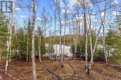 115 WEST MULLET LAKE DRIVE | Bancroft Ontario | Slide Image Sixteen
