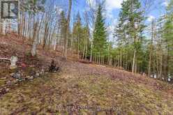 115 WEST MULLET LAKE DRIVE | Bancroft Ontario | Slide Image Nineteen